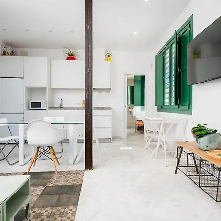 Penthouse Con Terraza- 2d 2b- Triana * セビリア