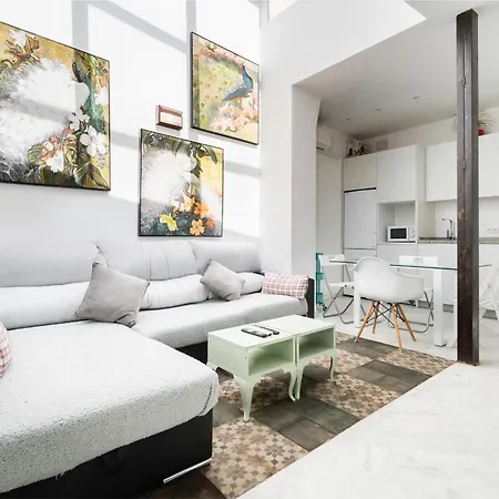 アパート Penthouse Con Terraza- 2d 2b- Triana *